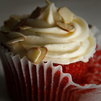 Cake Decorator praiseworthytreats