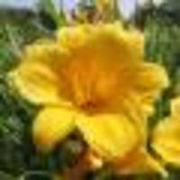 Patrickrock Cake Central Cake Decorator Profile