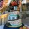 danitza Cake Central Cake Decorator Profile