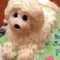 infields Cake Central Cake Decorator Profile