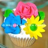 HelterSkelterCakes Cake Central Cake Decorator Profile