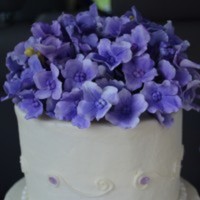 Cake Decorator Debmar