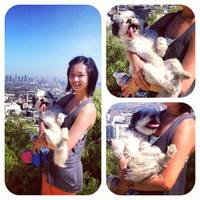 Cake Decorator karess