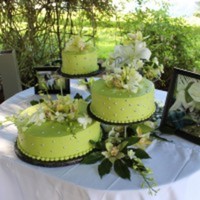 Cake Decorator Mymlb