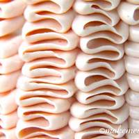 Cake Decorator cassiet