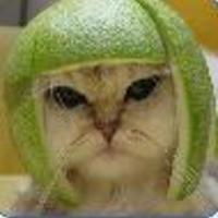 katleg Cake Central Cake Decorator Profile