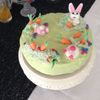 Brookebakes Cake Central Cake Decorator Profile