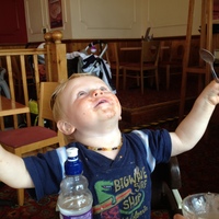 hydra234 Cake Central Cake Decorator Profile