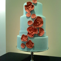 ciescanoodle Cake Central Cake Decorator Profile