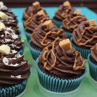 saddlebredgirl Cake Central Cake Decorator Profile