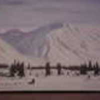 DebraDough Cake Central Cake Decorator Profile