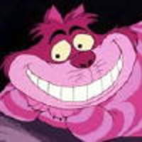 Cake Decorator CraftT