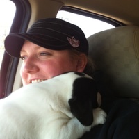 Cake Decorator rexygirl