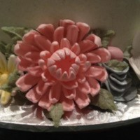 Cake Decorator jonitagordon