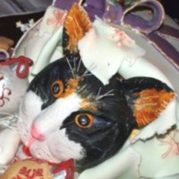 Cake Decorator Naegelchen