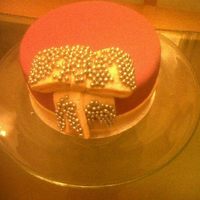 Cake Decorator Adele WINDELE