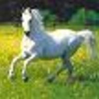 Cake Decorator vanillabean