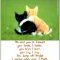 Cake Decorator countygirl28