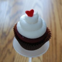 Cake Decorator cup-caker