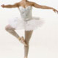 Cake Decorator costumelady