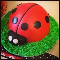 Cake Decorator Dulce Vida