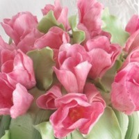 Cake Decorator KarlaGJ