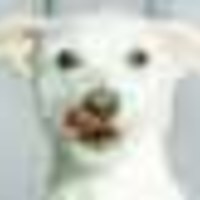 rexmel7 Cake Central Cake Decorator Profile