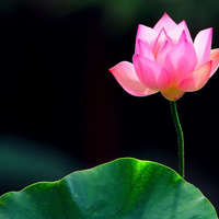 KitchenWytch Cake Central Cake Decorator Profile