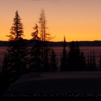 Cake Decorator Chocoholly