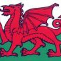 Cake Decorator suzyb00