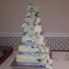 ahorn586 Cake Central Cake Decorator Profile