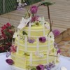 daltonam  Cake Central Cake Decorator Profile