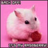 Cake Decorator Steph_the_radish