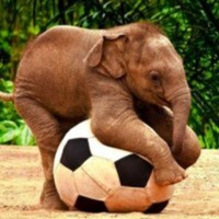 Cake Decorator NinaBeee