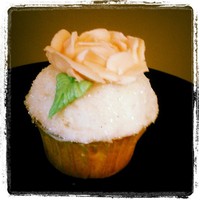 Cake Decorator NYAcupcake