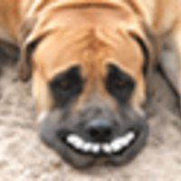 Scrappy Cake Central Cake Decorator Profile