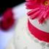 Cake Decorator k-loveevents