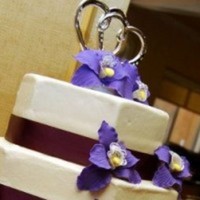 shkepa Cake Central Cake Decorator Profile