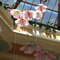 lmhayes19 Cake Central Cake Decorator Profile