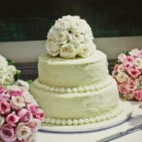 Cake Decorator CarleyMc