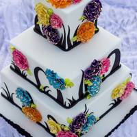 Cake Decorator LisaBakes14