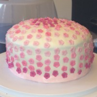 Cake Decorator TAS3747