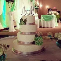 Cake Decorator pucina