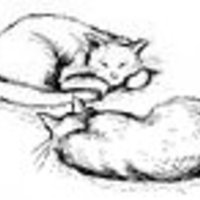 Cake Decorator vetaAL