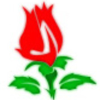 Cake Decorator jhewitt