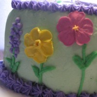 Cake Decorator redding86