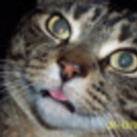 CharMarBoBar Cake Central Cake Decorator Profile