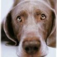 luvmyweim Cake Central Cake Decorator Profile