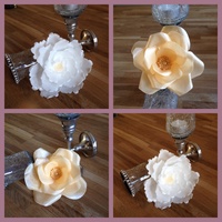 Cake Decorator donnay