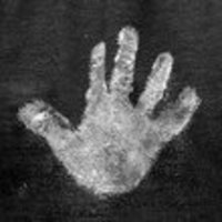 Cake Decorator coolbananas